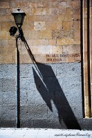 /album/marticizkova/dsc-0032-1-jpg/